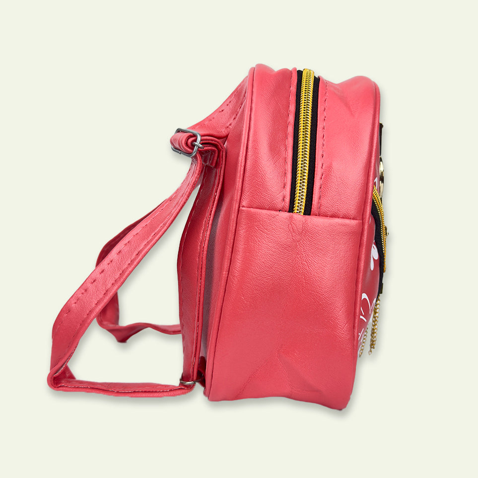 Stylish YSL Bag