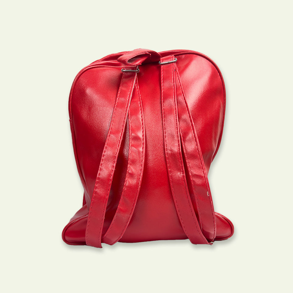 Stylish YSL Bag